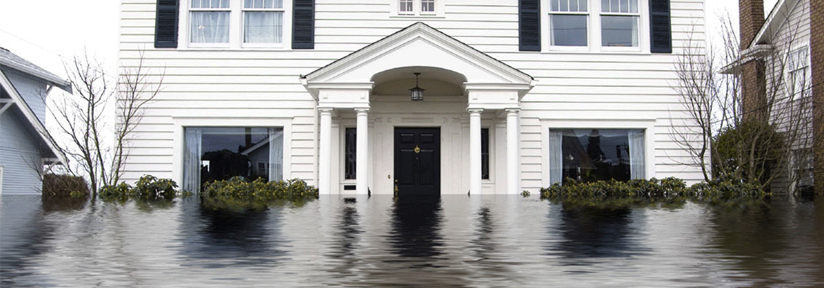 California Flood and Earthquake insurance coverage 1